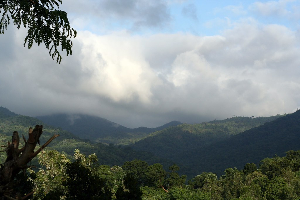 Scenic view of Thirunelli Temple, Kerala