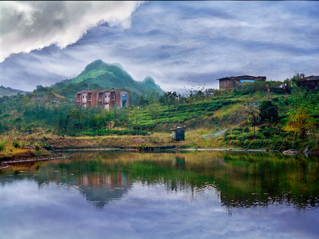 Pine Valley in Vagamon