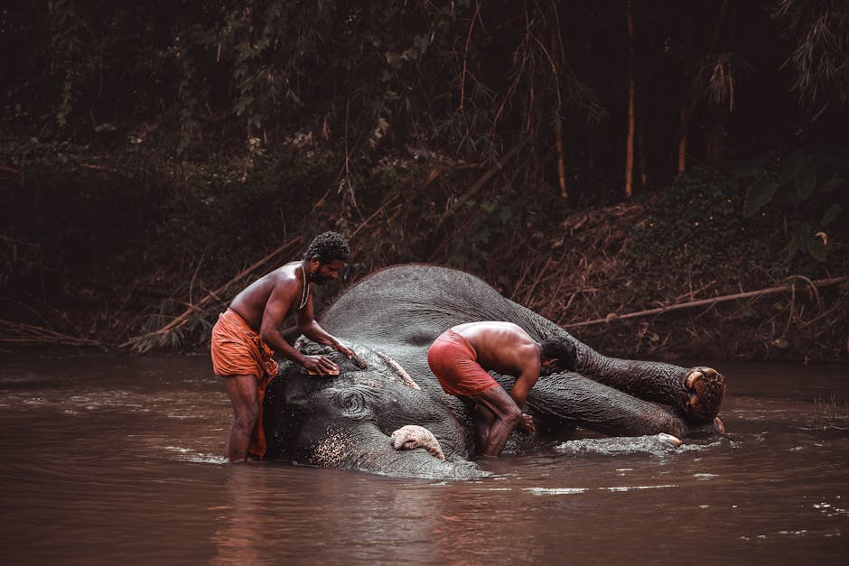 Scenic view of Wayanad, Kerala