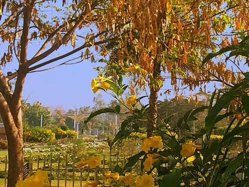 Lal Bagh Palace in Indore