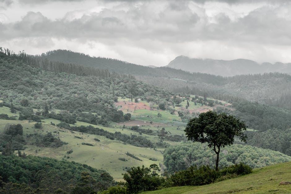 Madan Mahal Fort in Jabalpur