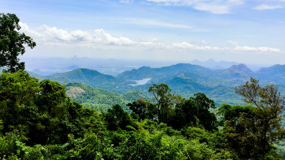 Scenic view of Pachmarhi, Madhya Pradesh