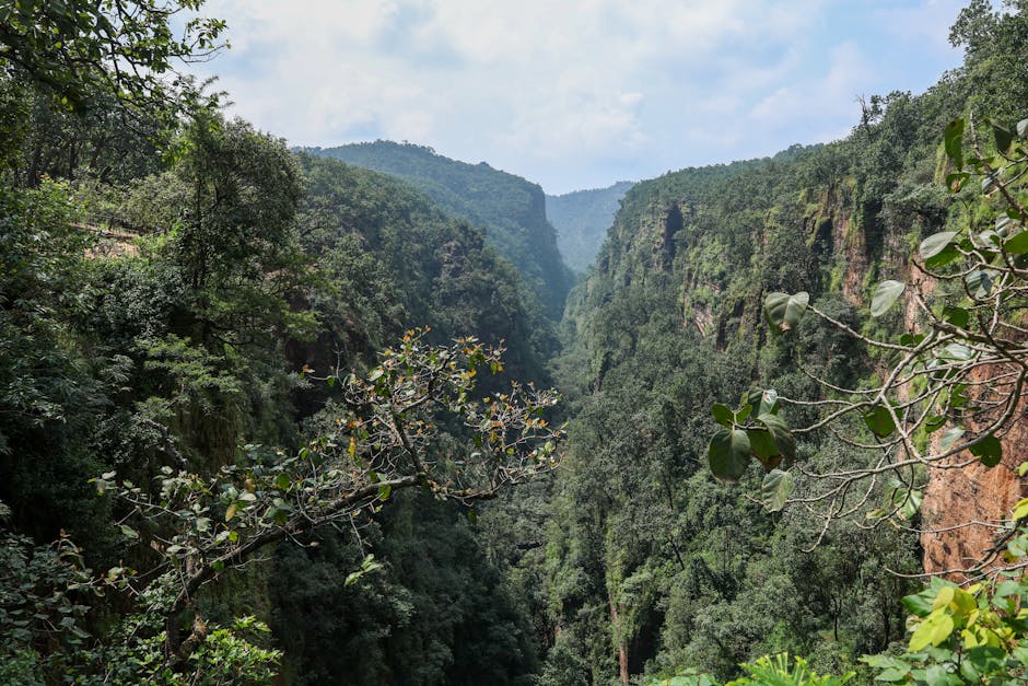 Bee Falls in Pachmarhi, Madhya Pradesh