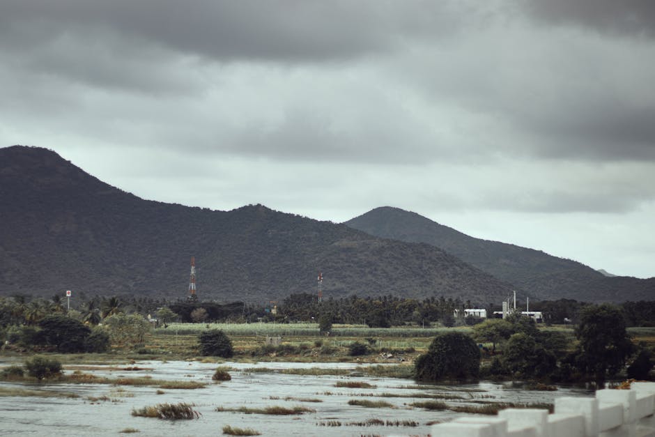Pitambara Shrine in Pitambara Peeth, Madhya Pradesh