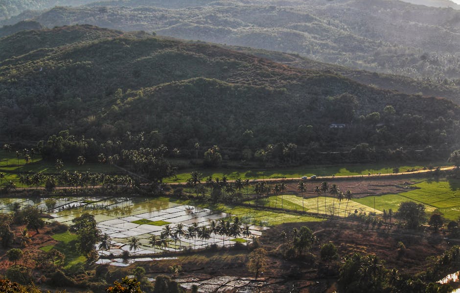 Ujjain — popular tourist destination in Madhya Pradesh