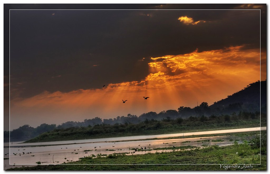 Vatpad (Banyan Tree) in Akkalkot Swami Samarth