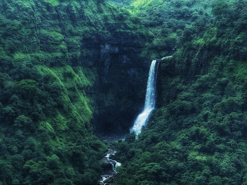 Scenic view of Amboli, Maharashtra