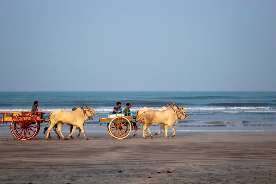 Suvarnadurg Fort in Dapoli