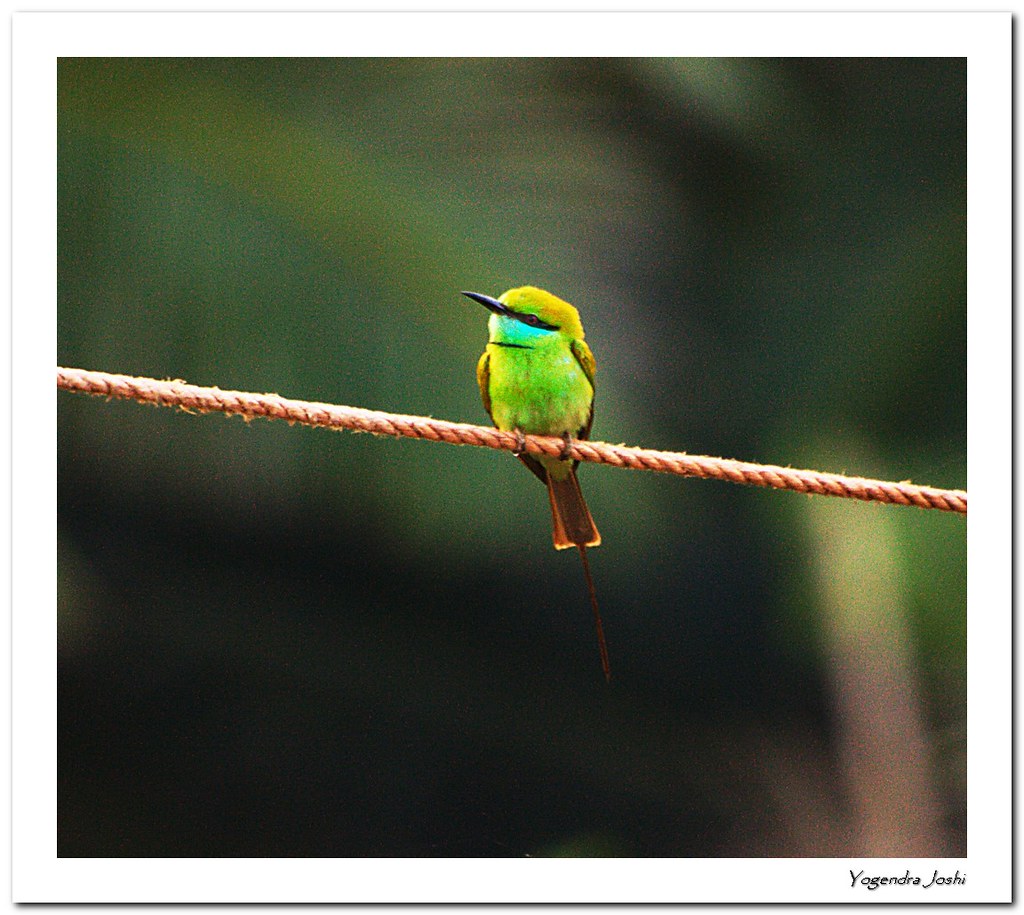 Jaigad Fort — Mumbai to Ganpatipule trip