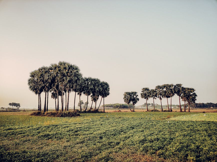 Scenic view of Jejuri, Maharashtra