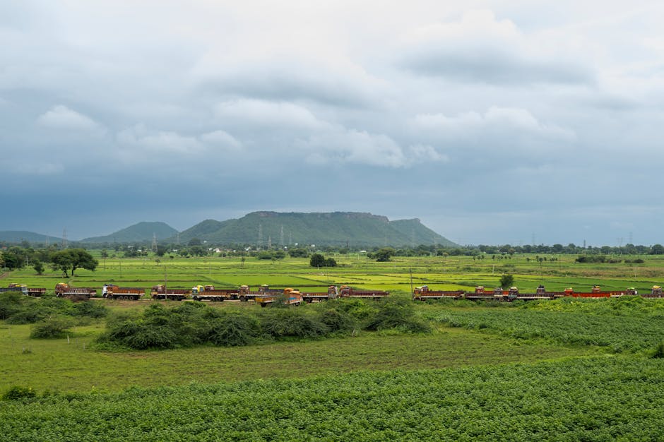 Jejuri Market & Temple Street — Mumbai to Jejuri trip
