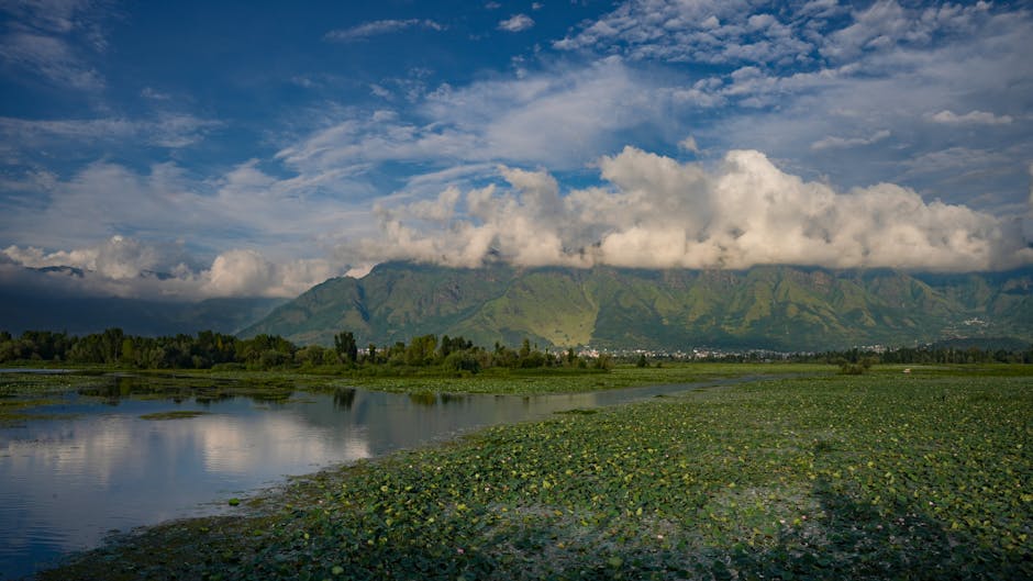 Bhivpuri Waterfall in Karjat