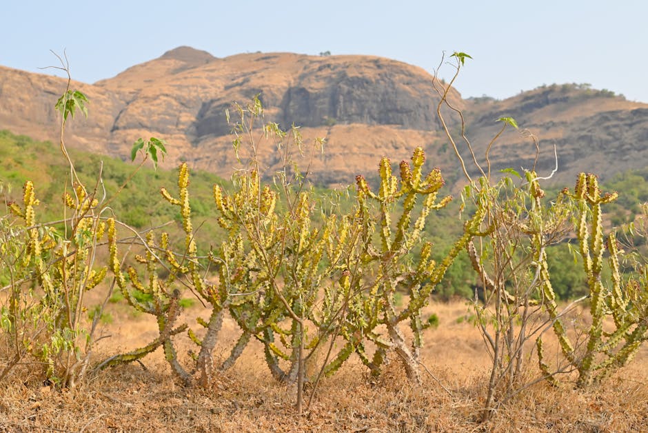 Warli Village Cultural Homestay — Mumbai to Kasara trip