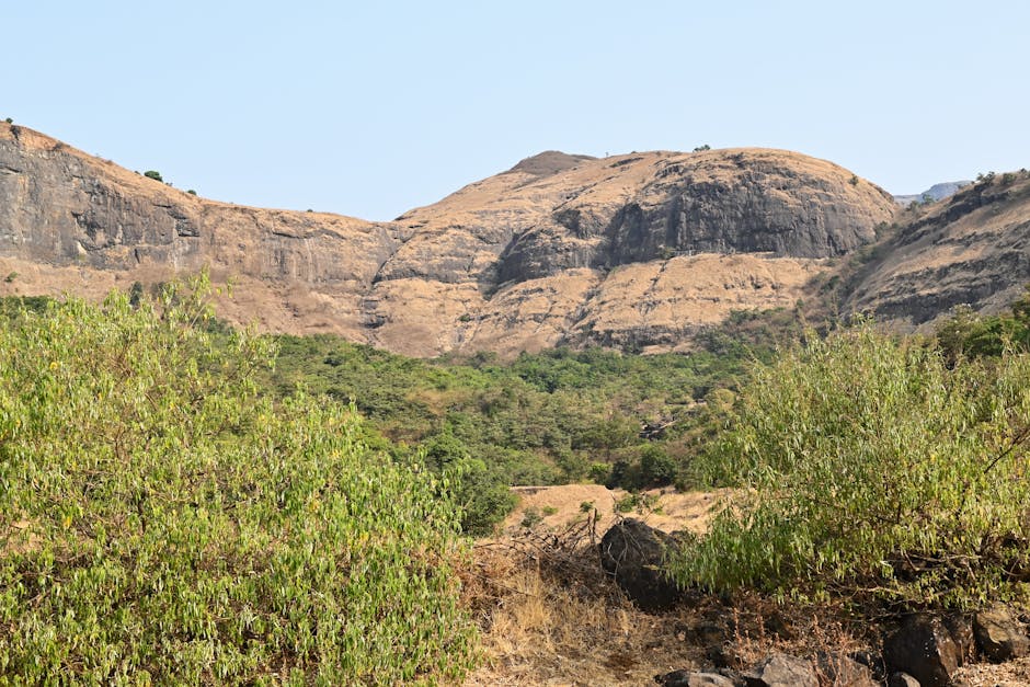 Kune Falls — Mumbai to Khandala trip