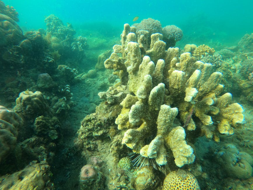 Malvan — popular tourist destination in Maharashtra