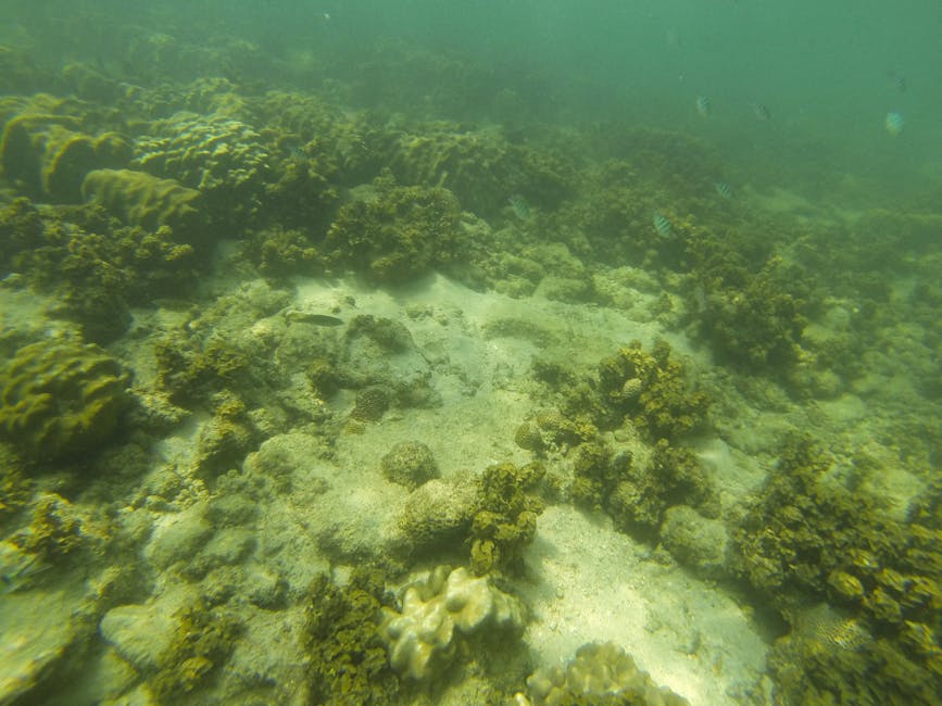 Scenic view of Malvan, Maharashtra