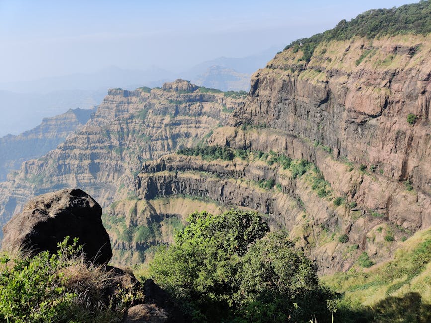Kaas Plateau (Valley of Flowers) in Satara, Maharashtra