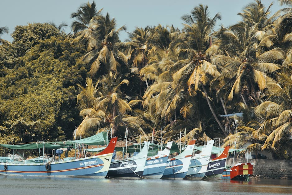 Scenic view of Sindhudurg, Maharashtra