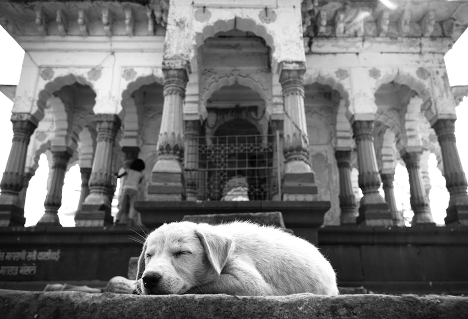 Ram Mandir Wadala — popular tourist destination in Mumbai