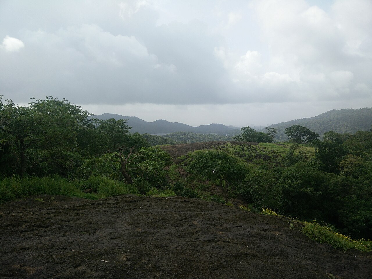 Lion Safari in Sanjay Gandhi National Park