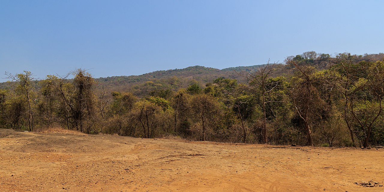 Scenic view of Sanjay Gandhi National Park, Mumbai