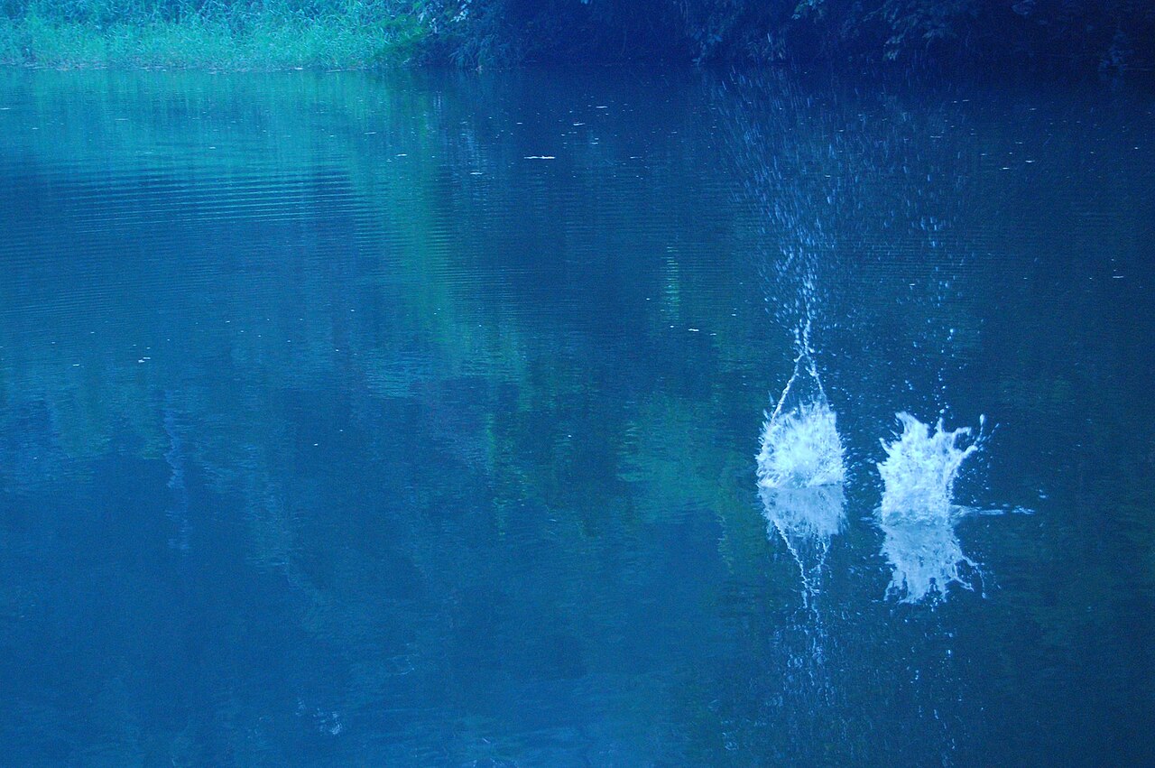 Tulsi Lake — Mumbai to Sanjay Gandhi National Park trip