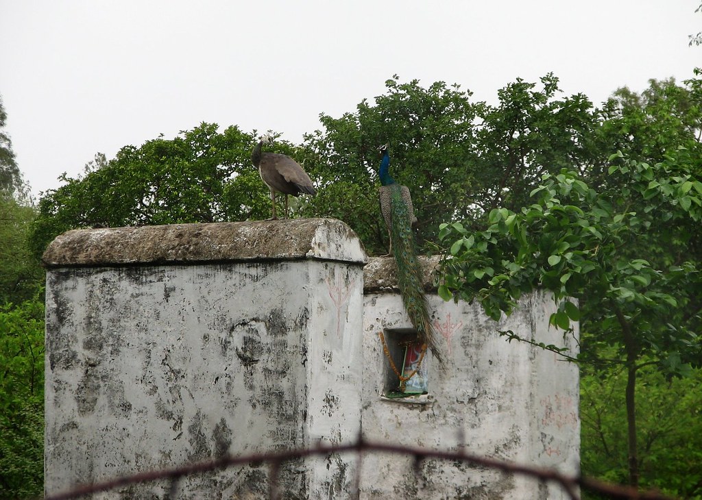 Kanheri Caves in Sanjay Gandhi National Park, Mumbai