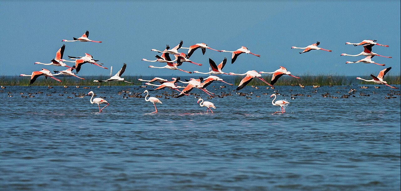 Chilika Lake — popular tourist destination in Odisha