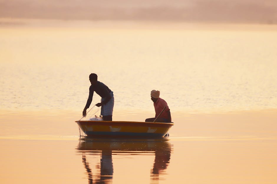 Nalabana Bird Sanctuary in Chilika Lake