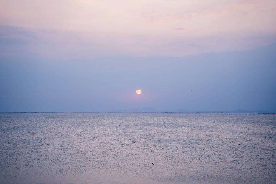 Scenic view of Chilika Lake, Odisha