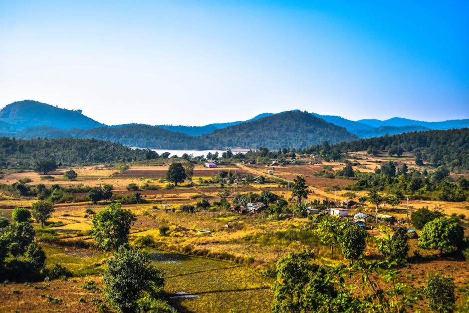 Scenic view of Daringbadi, Odisha
