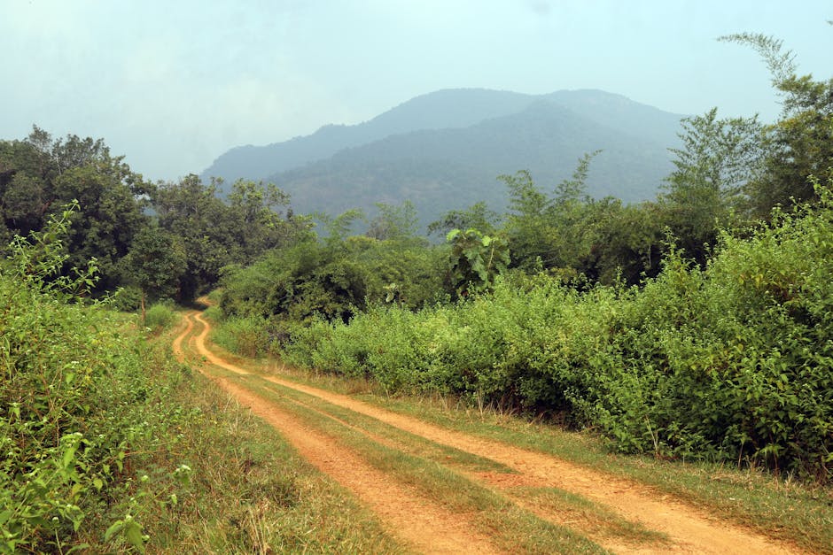 Scenic view of Simlipal, Odisha