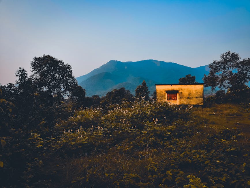 Chahala Tiger Safari Zone — Mumbai to Simlipal trip