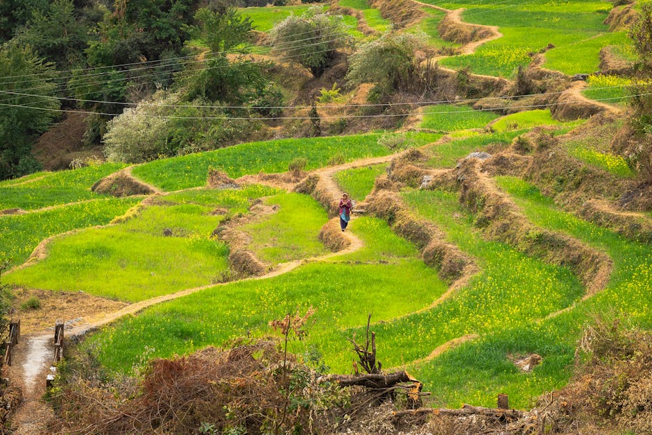 Barehipani Falls in Simlipal, Odisha