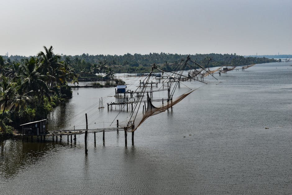 Paradise Beach Ferry Point — Mumbai to Chunnambar Backwater trip