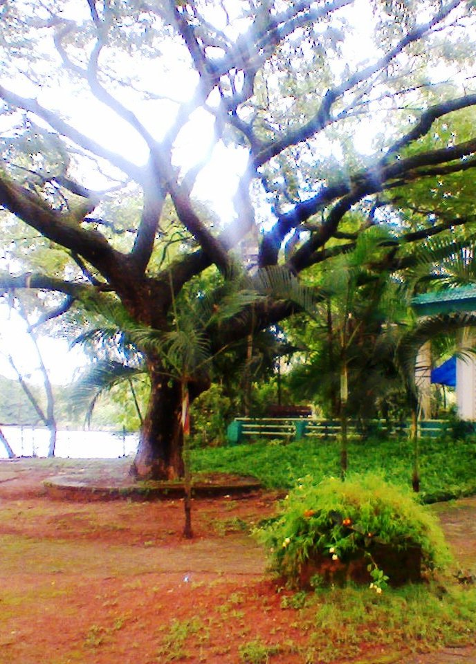 Scenic view of Mahe, Puducherry