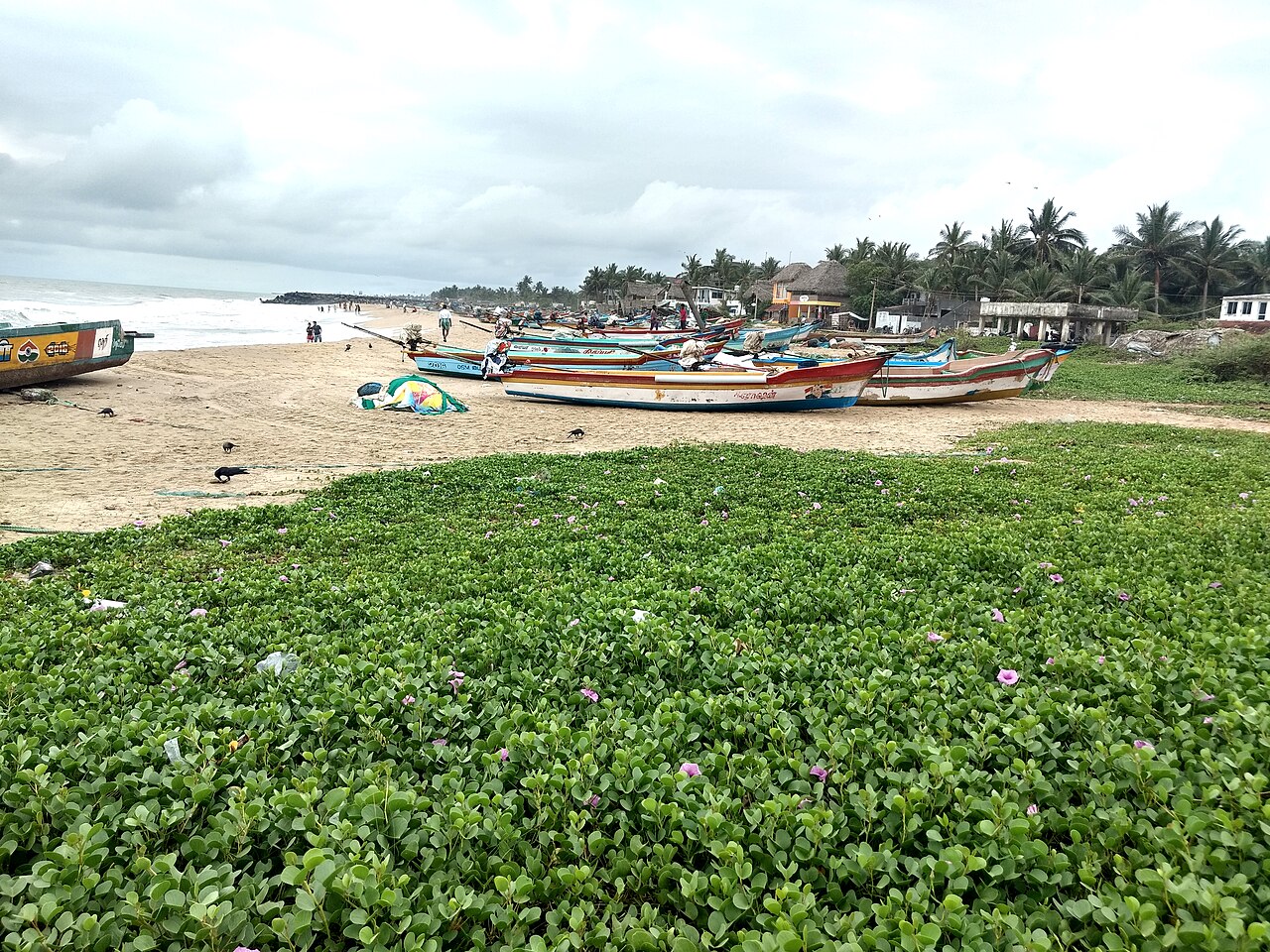 Kallialay Surf School in Serenity Beach
