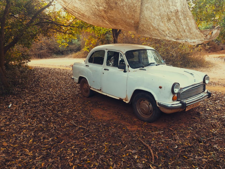National Camel Research Centre — Mumbai to Bikaner trip