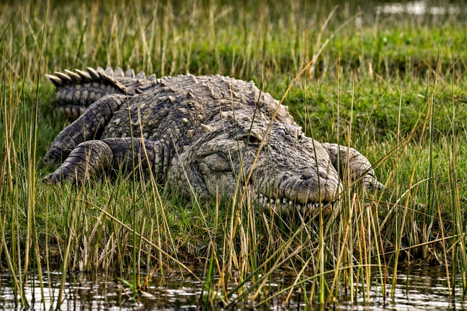 Jagmandir Palace — Mumbai to Kota trip