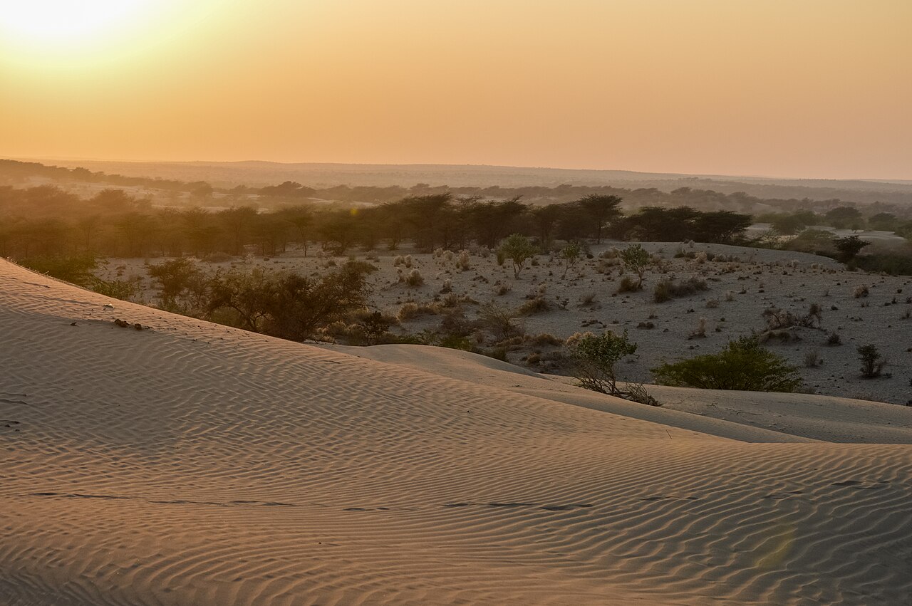 Desert Camp Sites in Sam Sand Dunes
