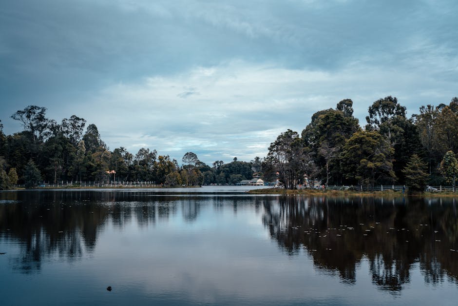 Kodai Lake in Kodaikanal, Tamil Nadu