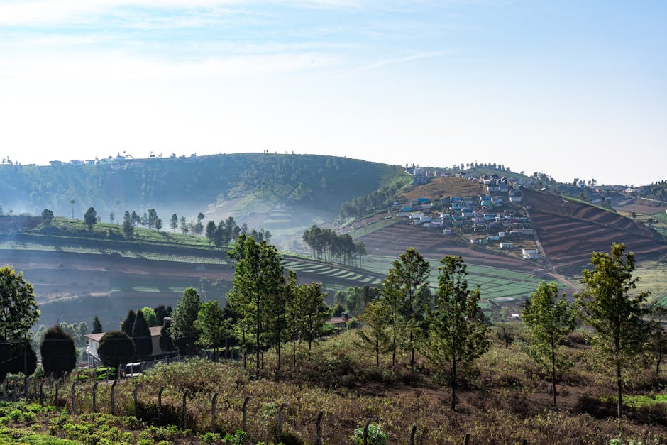 Scenic view of Ooty, Tamil Nadu