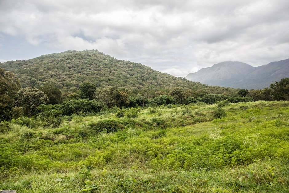 Doddabetta Peak — Mumbai to Ooty trip