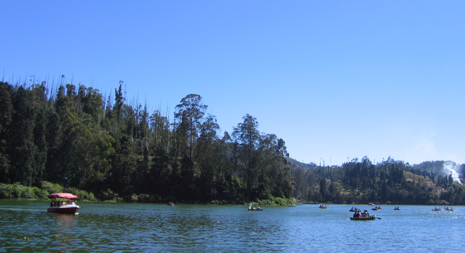 Botanical Gardens in Ooty (Udhagamandalam), Tamil Nadu