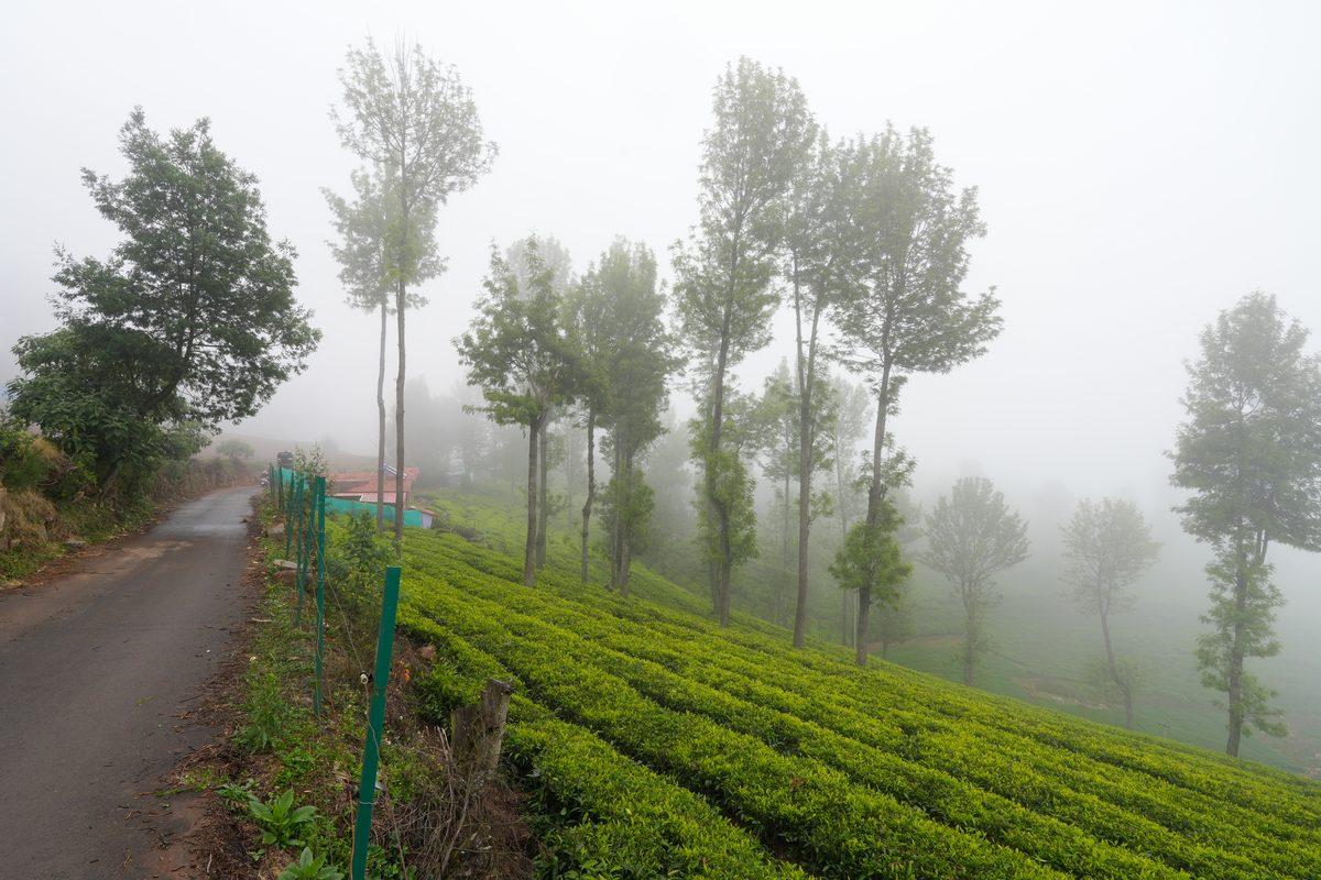 Nilgiri Mountain Railway in Ooty, Tamil Nadu