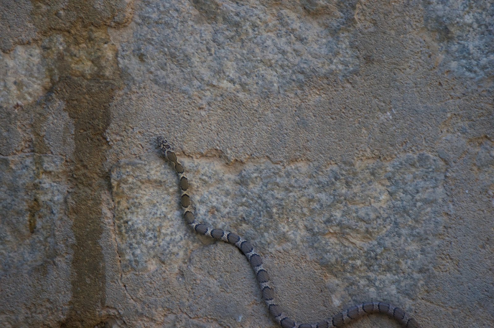 Nagarjunasagar — popular tourist destination in Telangana