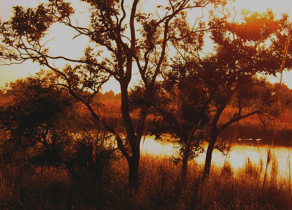 Dudhwa Zone in Dudhwa National Park, Uttar Pradesh