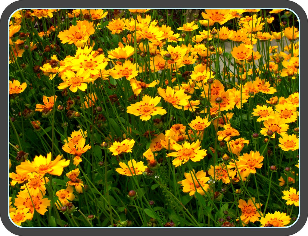 Sports Market — Mumbai to Meerut trip