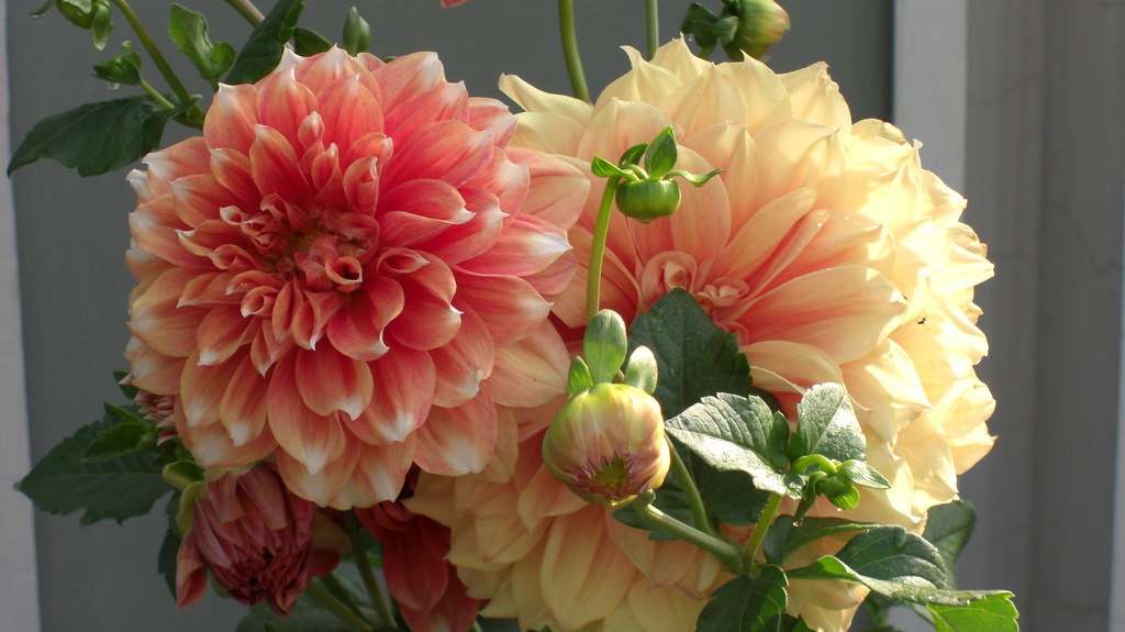 Shaheed Smarak in Meerut, Uttar Pradesh