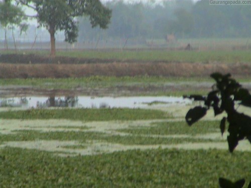 Naimisharanya — popular tourist destination in Uttar Pradesh